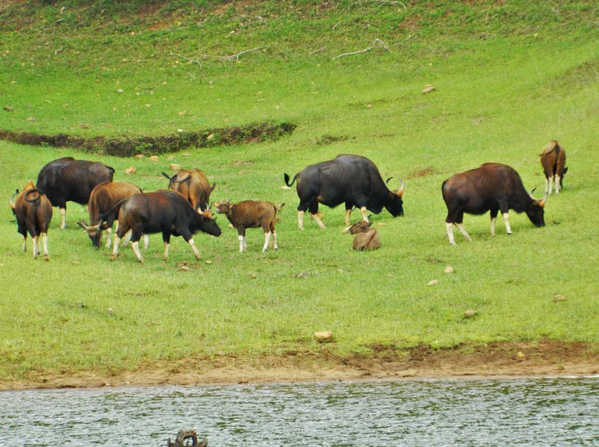 Rajbari National Park